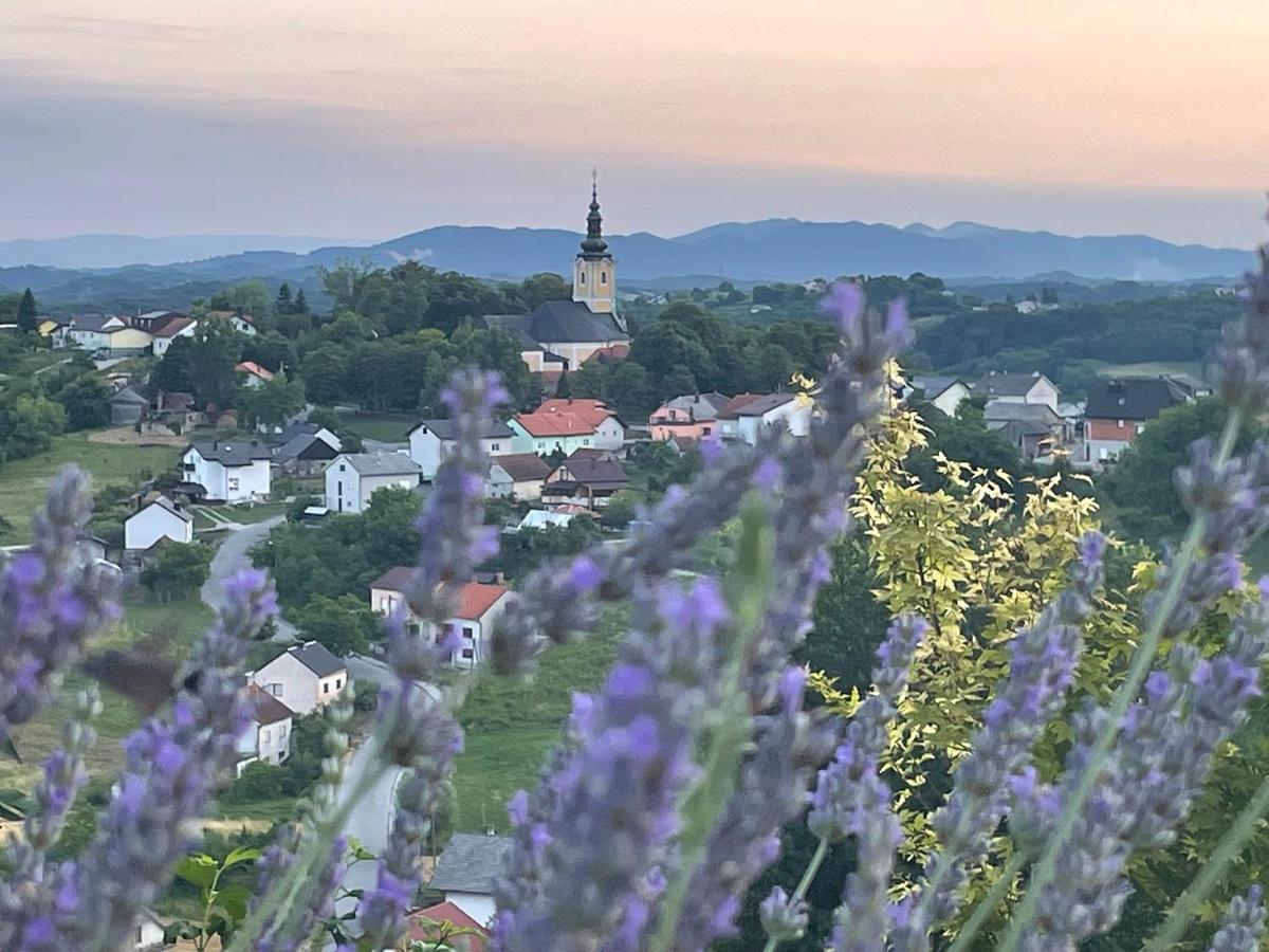 Kuca Za Odmor Hiza I Vila Krapina Buitenkant foto