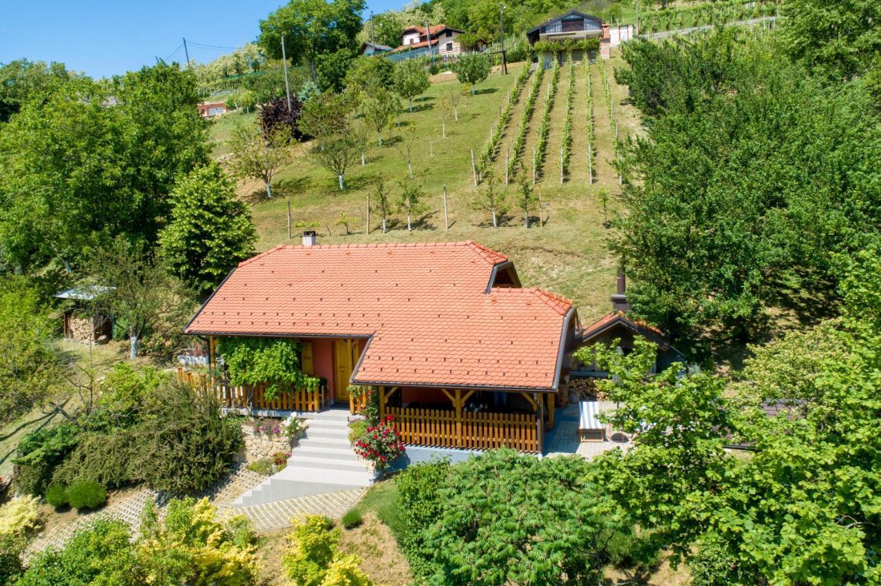 Kuca Za Odmor Hiza I Vila Villa Krapina Buitenkant foto