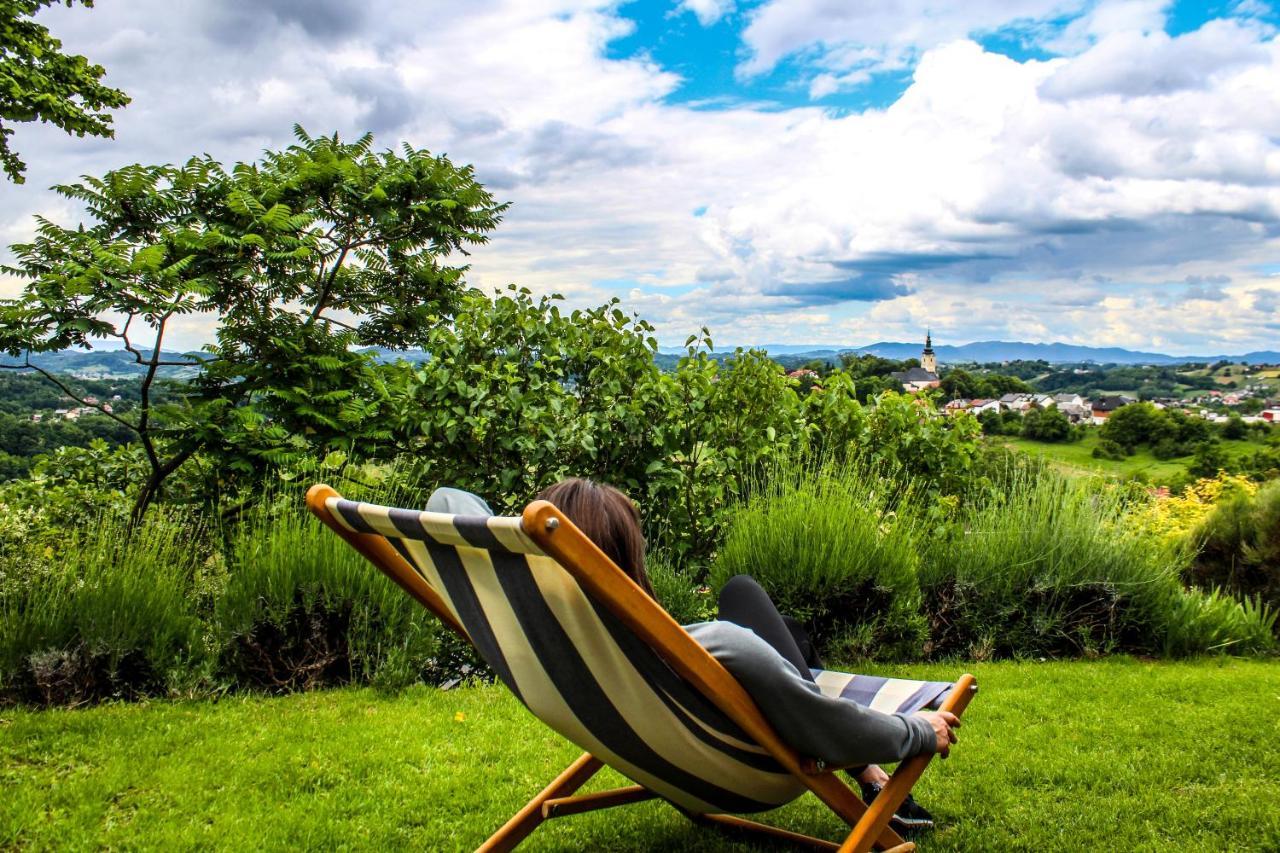 Kuca Za Odmor Hiza I Vila Villa Krapina Buitenkant foto