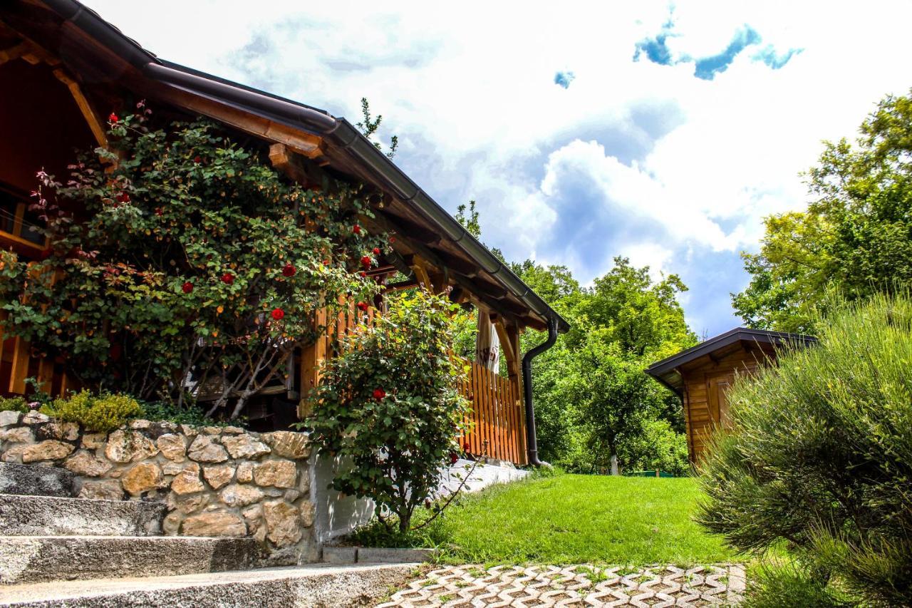 Kuca Za Odmor Hiza I Vila Villa Krapina Buitenkant foto