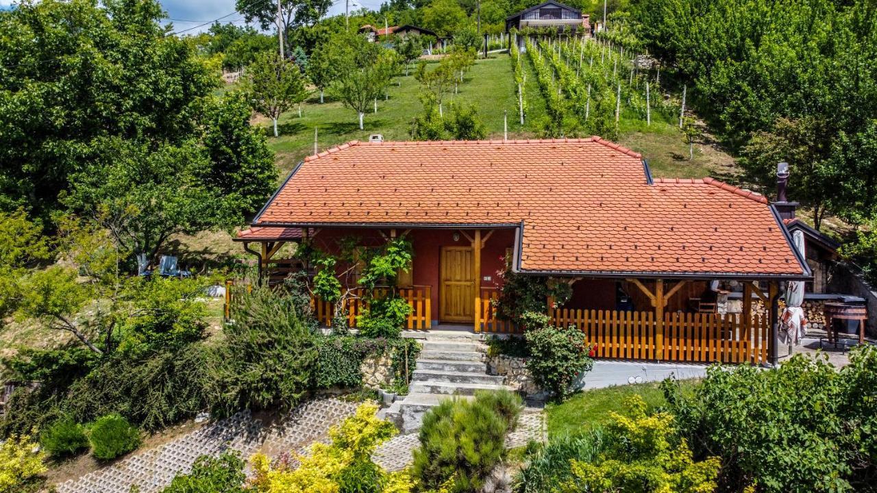 Kuca Za Odmor Hiza I Vila Krapina Buitenkant foto